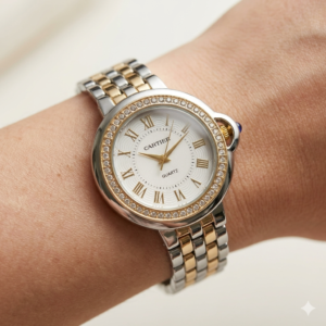 Montre acier inoxydable