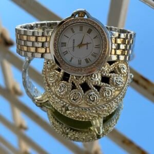 Montre acier inoxydable